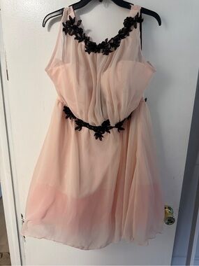 Women’s Blush Pink Floral Applique Chiffon Dress NWT